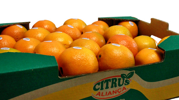 Citrus - Laranja Bahia