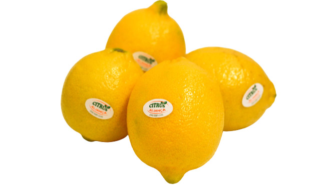 Citrus - Limão Siciliano